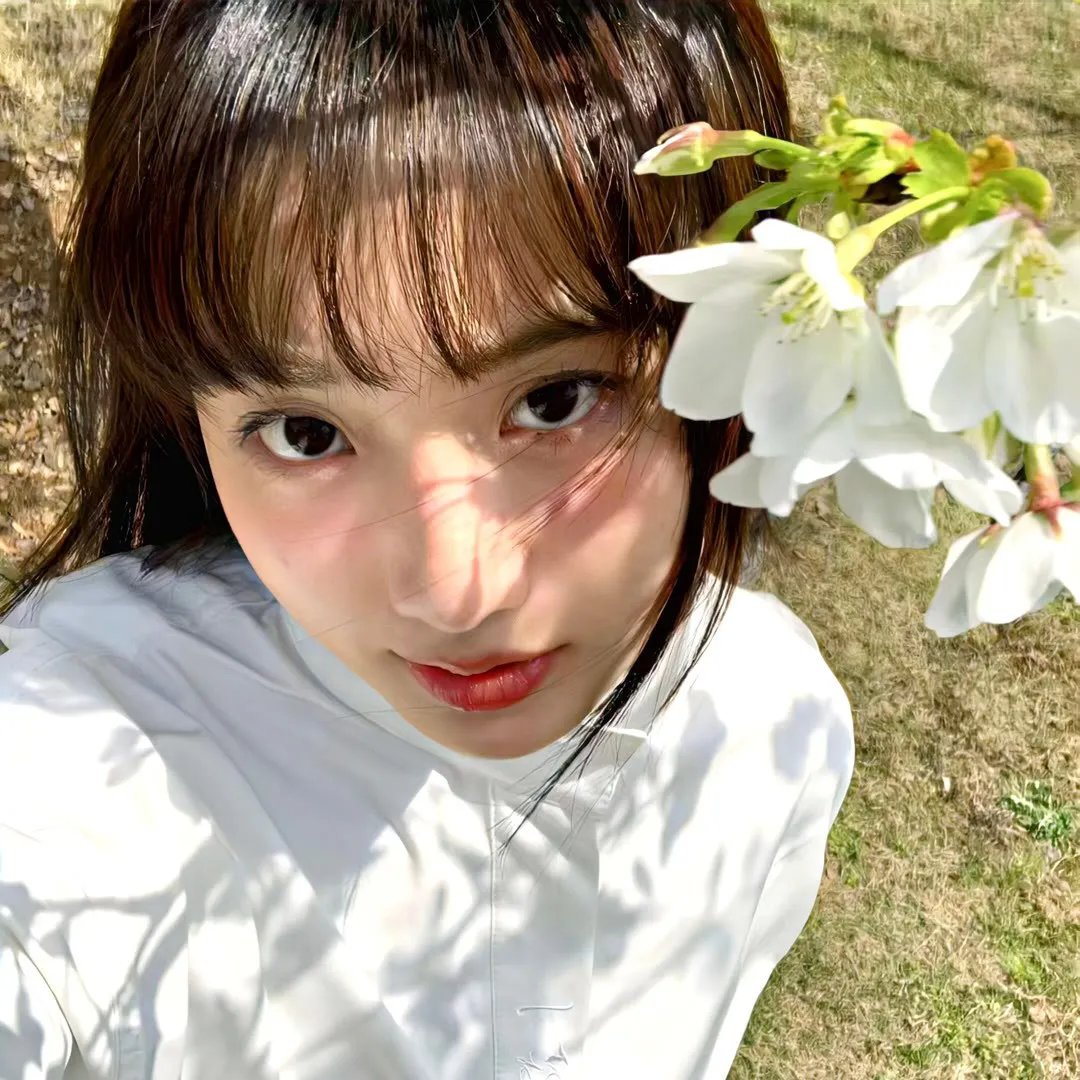 爱与燕麦